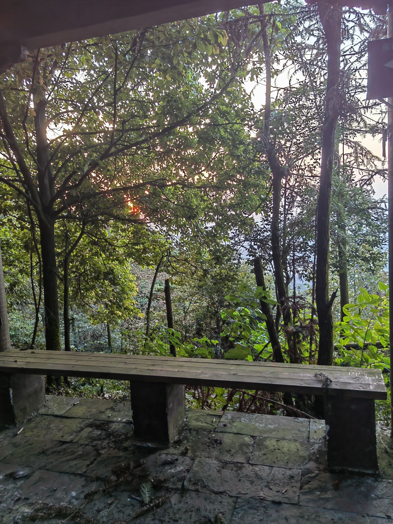 百丈峰半山亭旅行图片 2