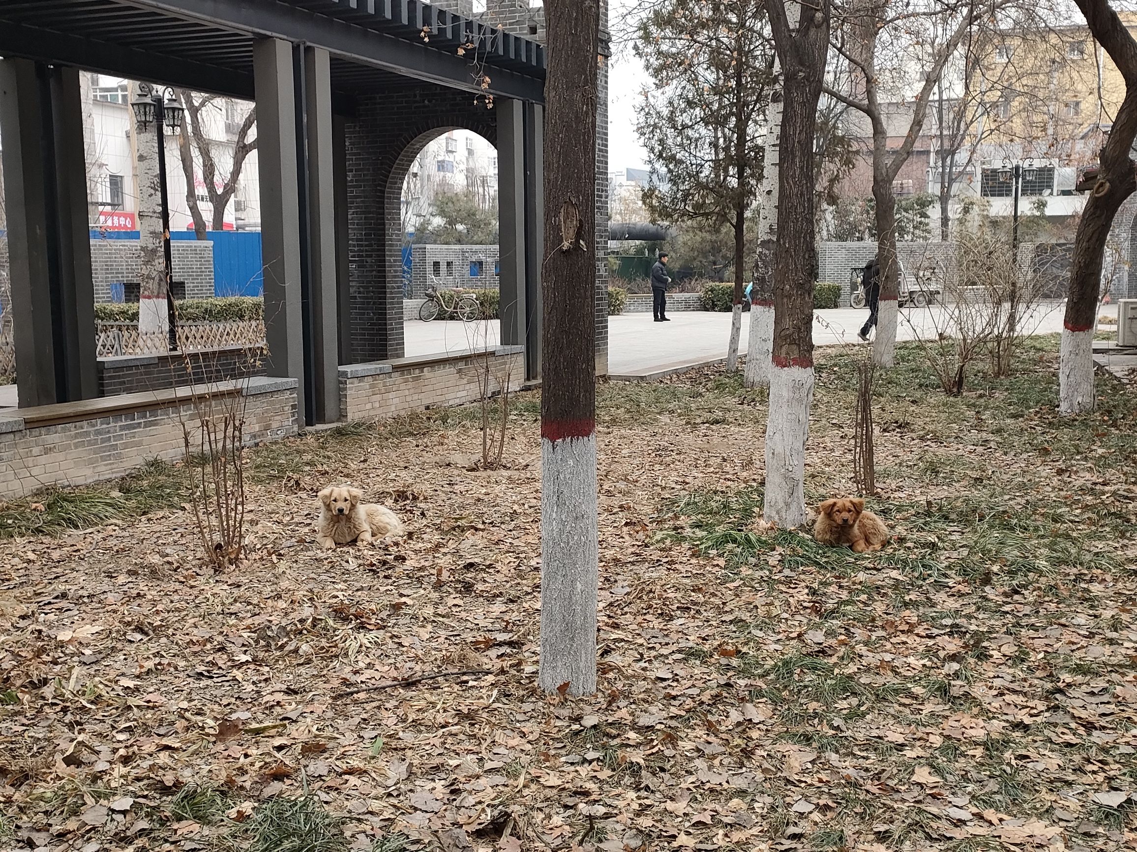 小洞天绿地公园旅行图片 3