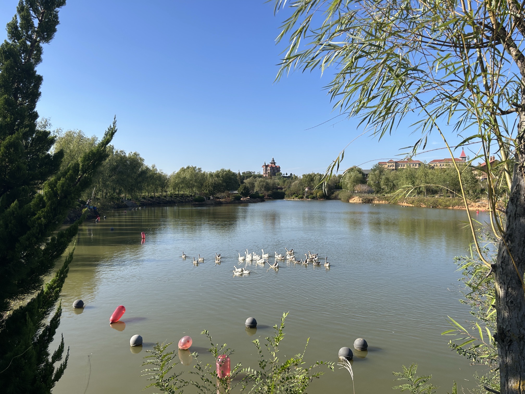 台依湖景区旅行图片 2