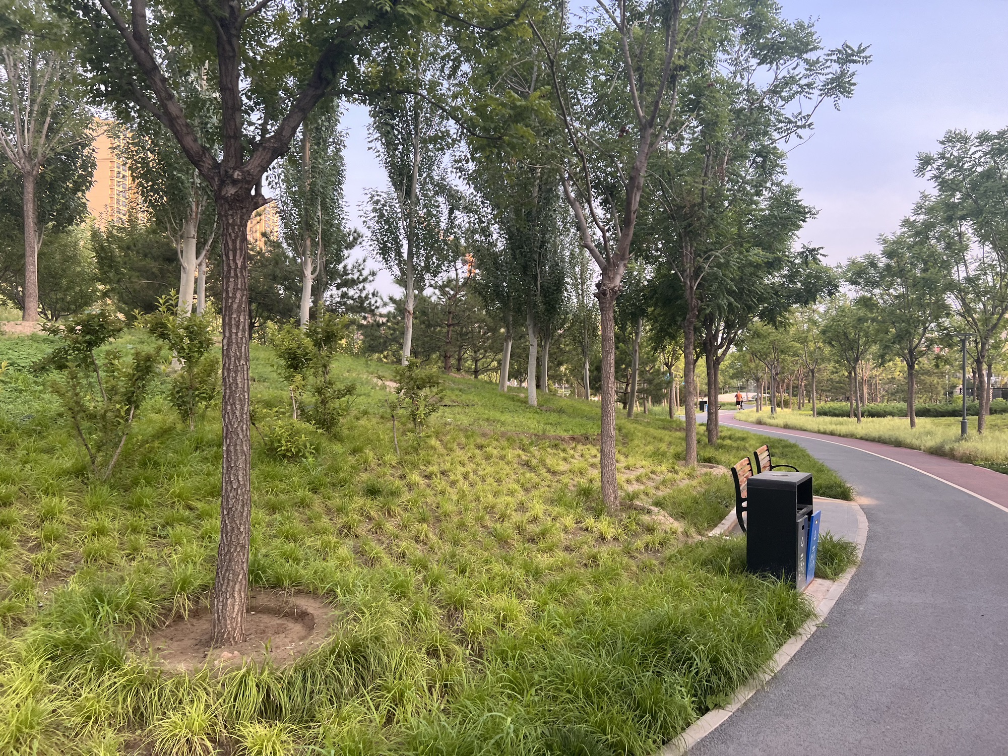 绿地公园旅行图片 2