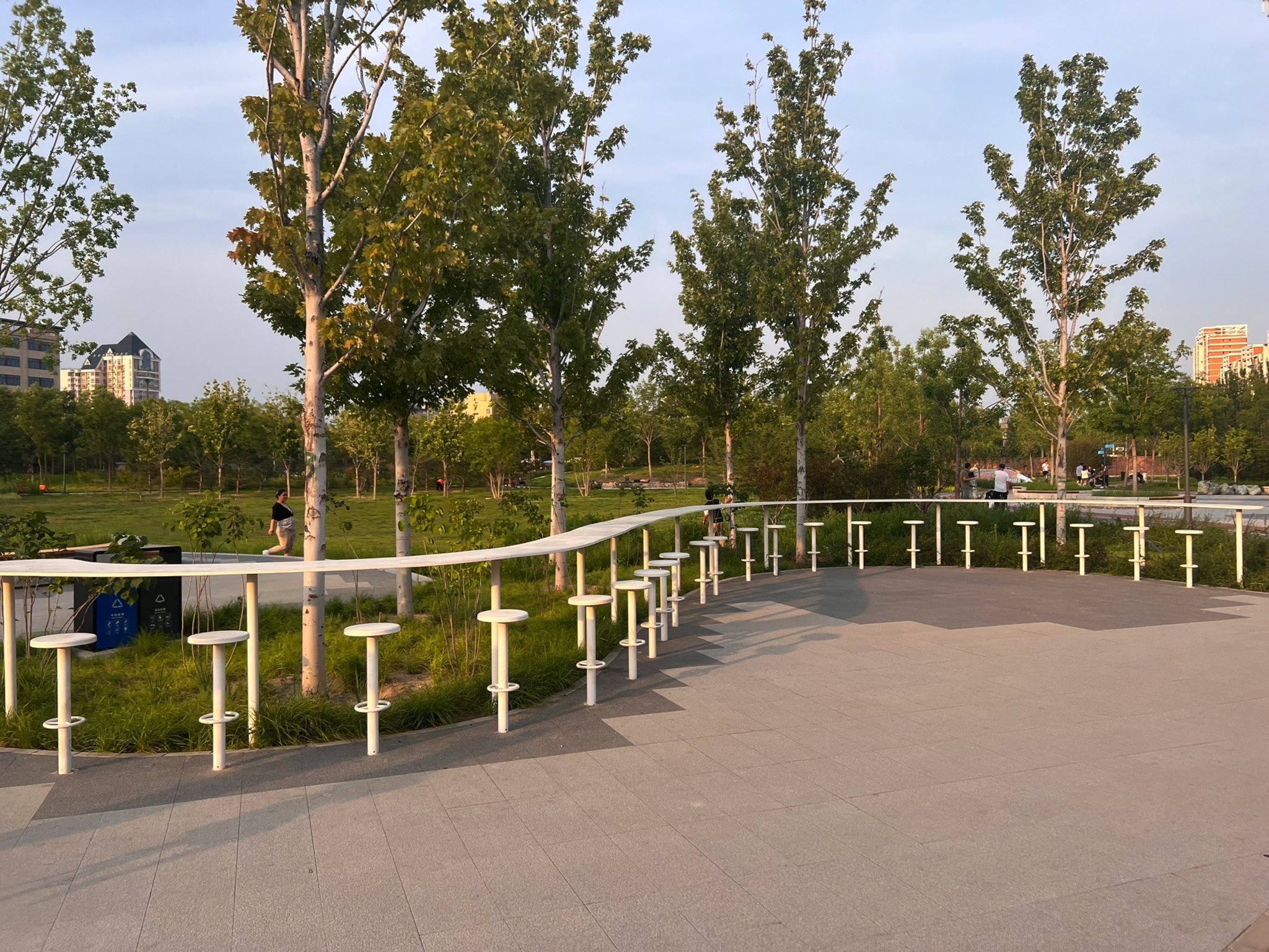 绿地公园旅行图片 1