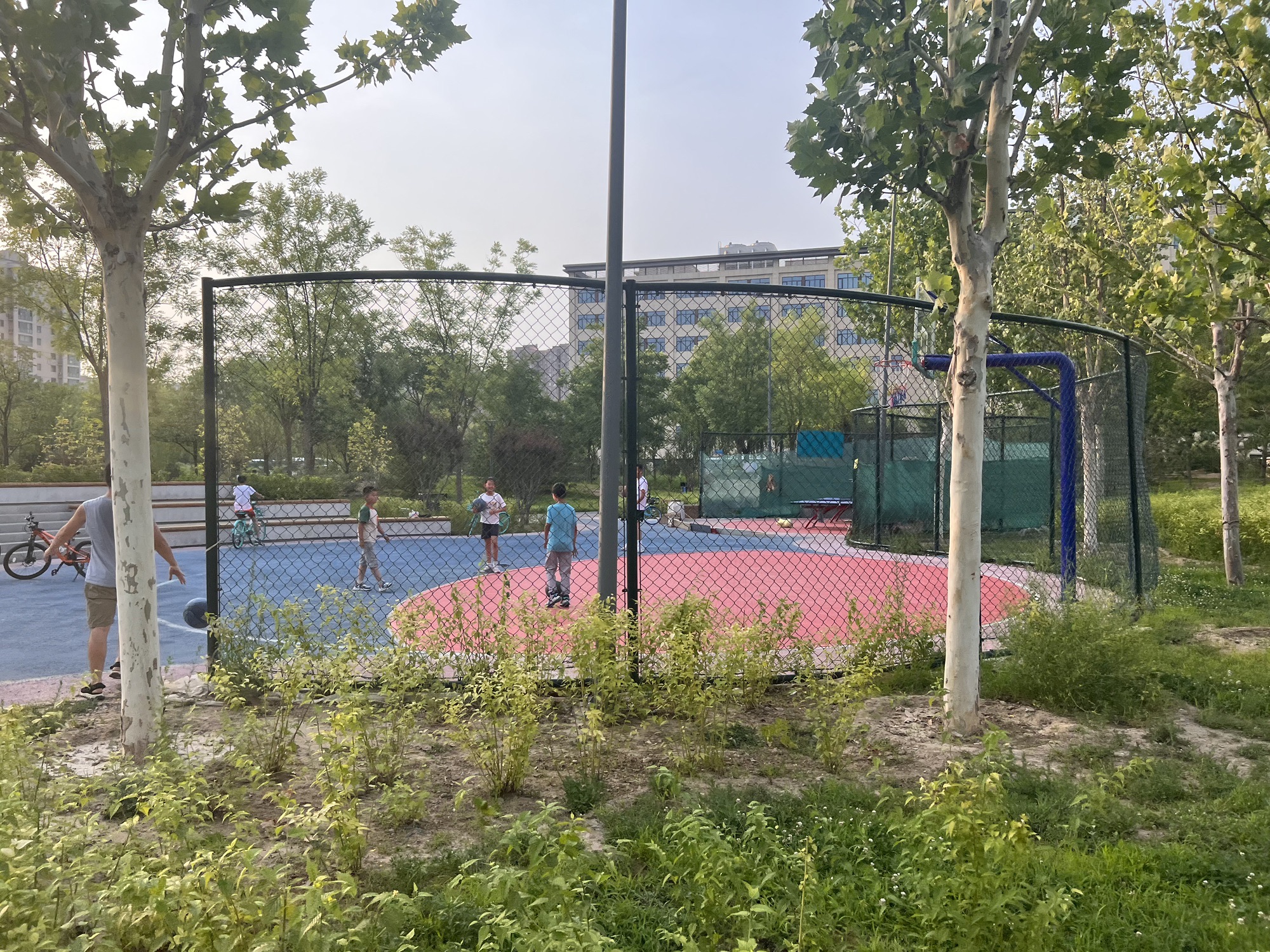 绿地公园旅行图片 3