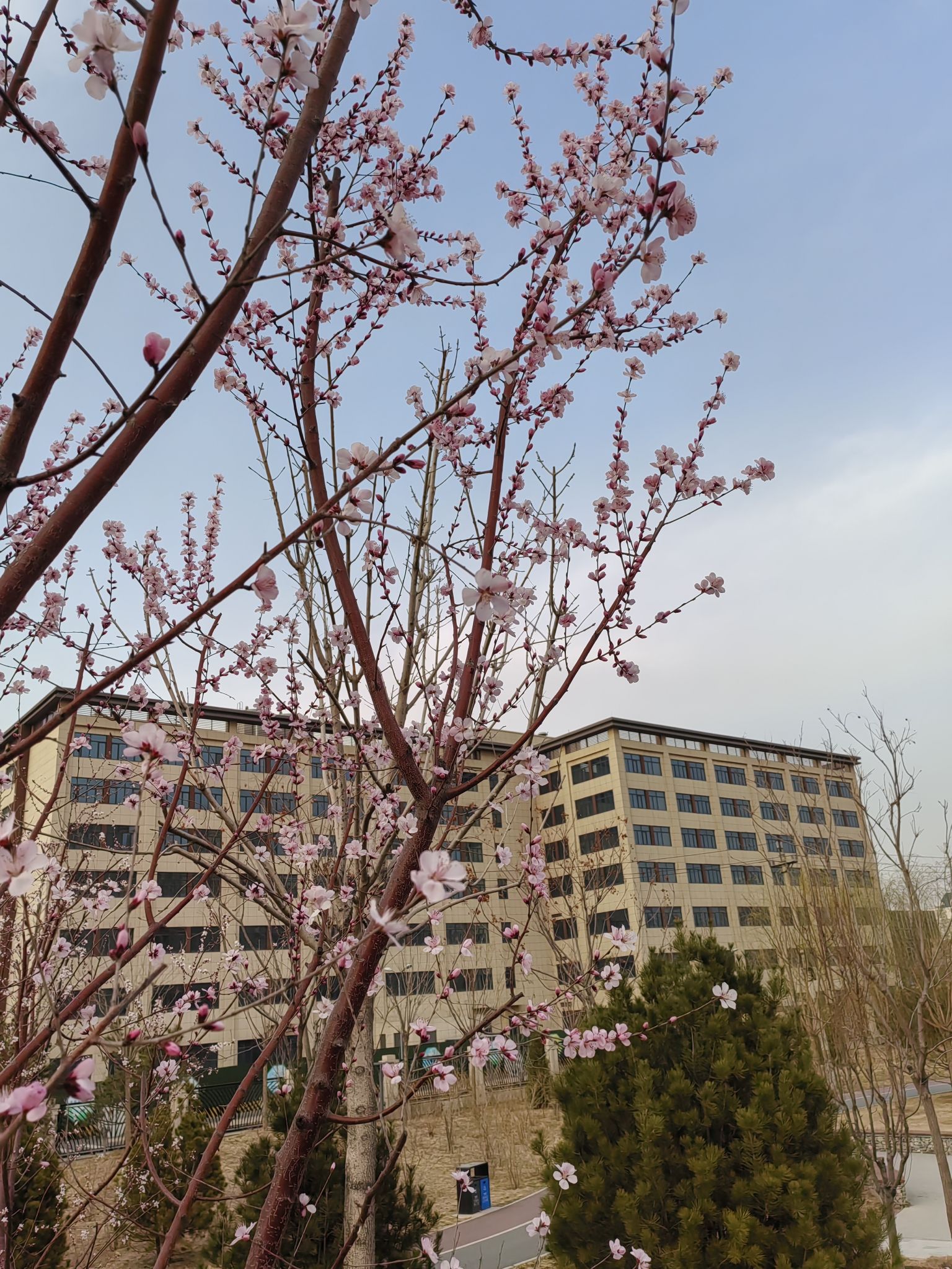 绿地公园旅行图片 1