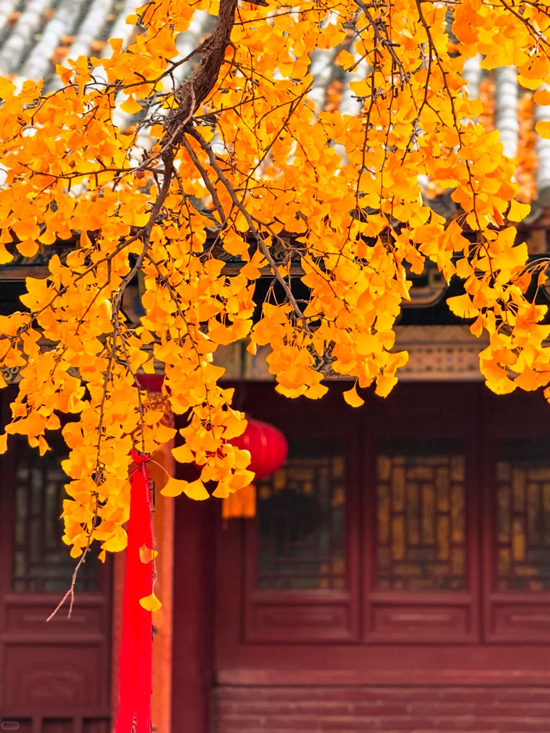 法王寺龙卦山旅行图片 1