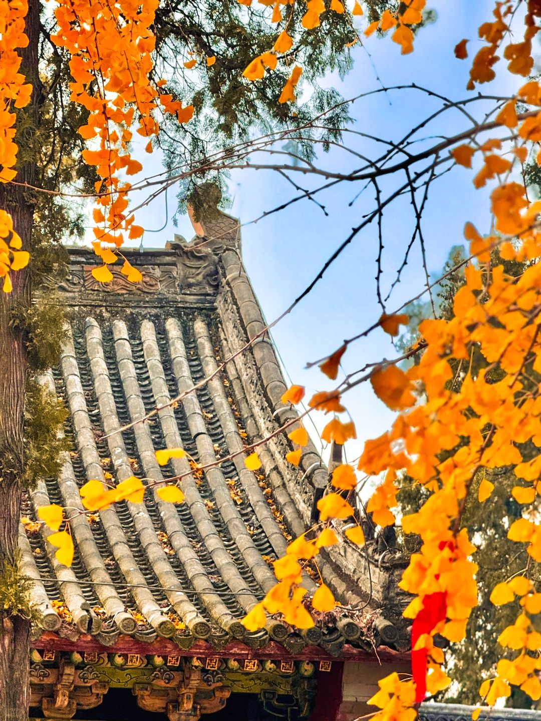 法王寺龙卦山旅行图片 2