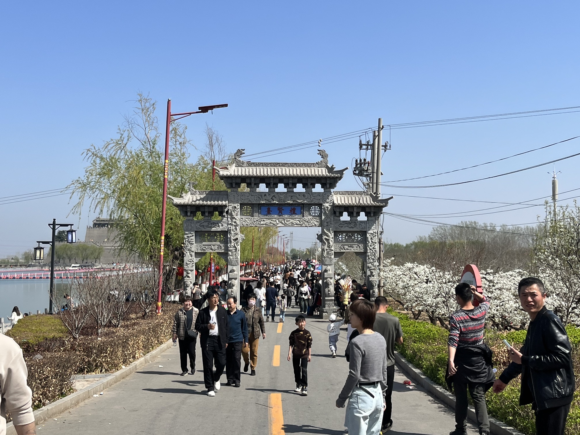 魏县梨花旅行图片 1