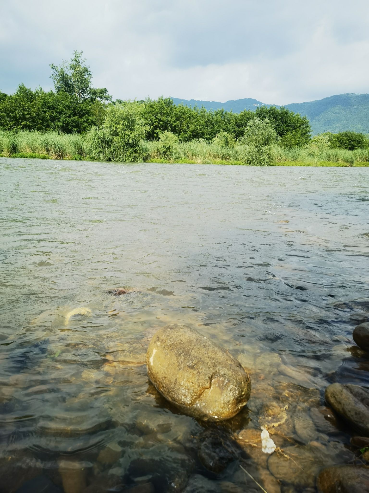 场地封面-树石村-露营地