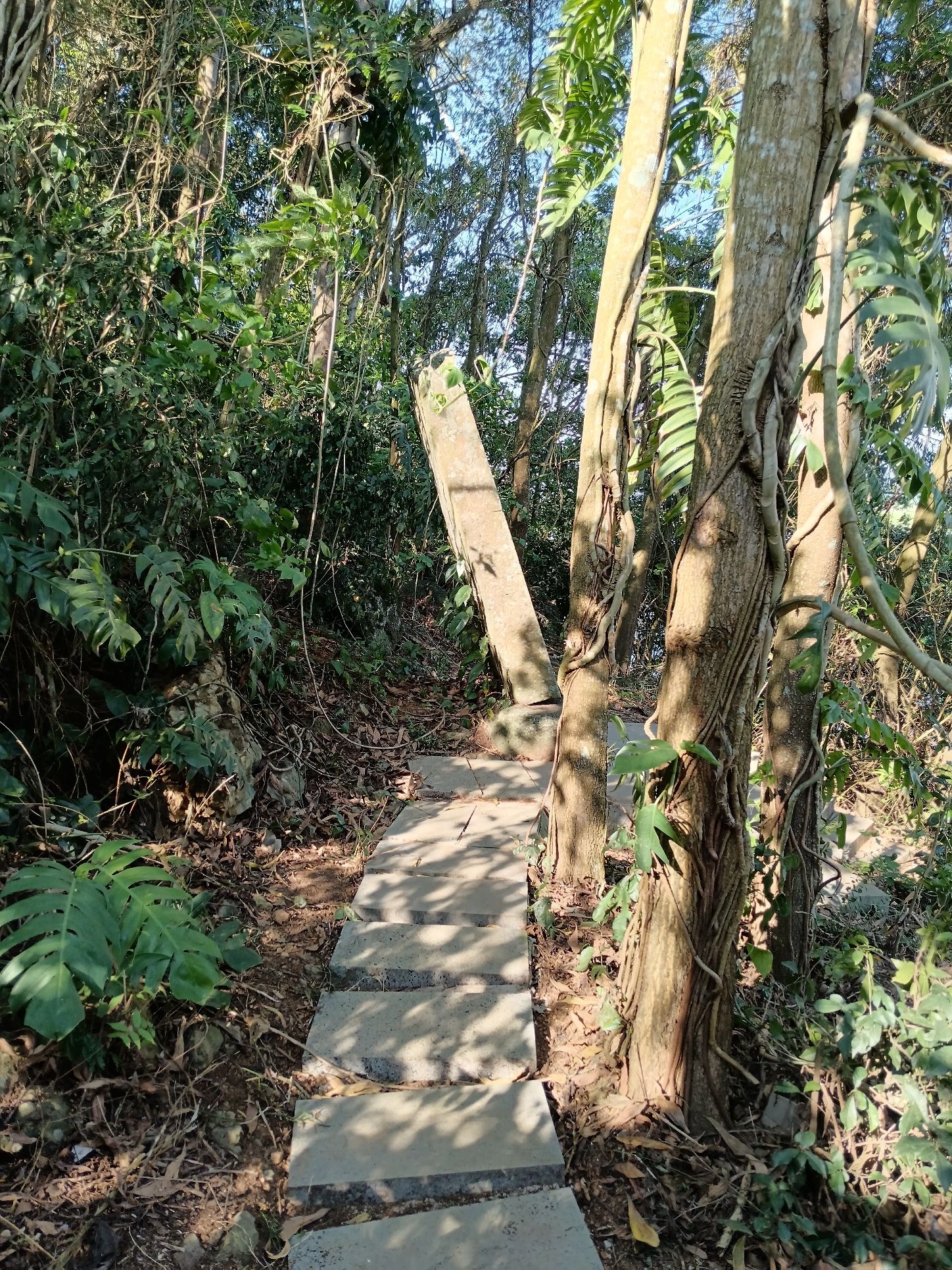 丘浚祭抱元境神碑旅行图片 2