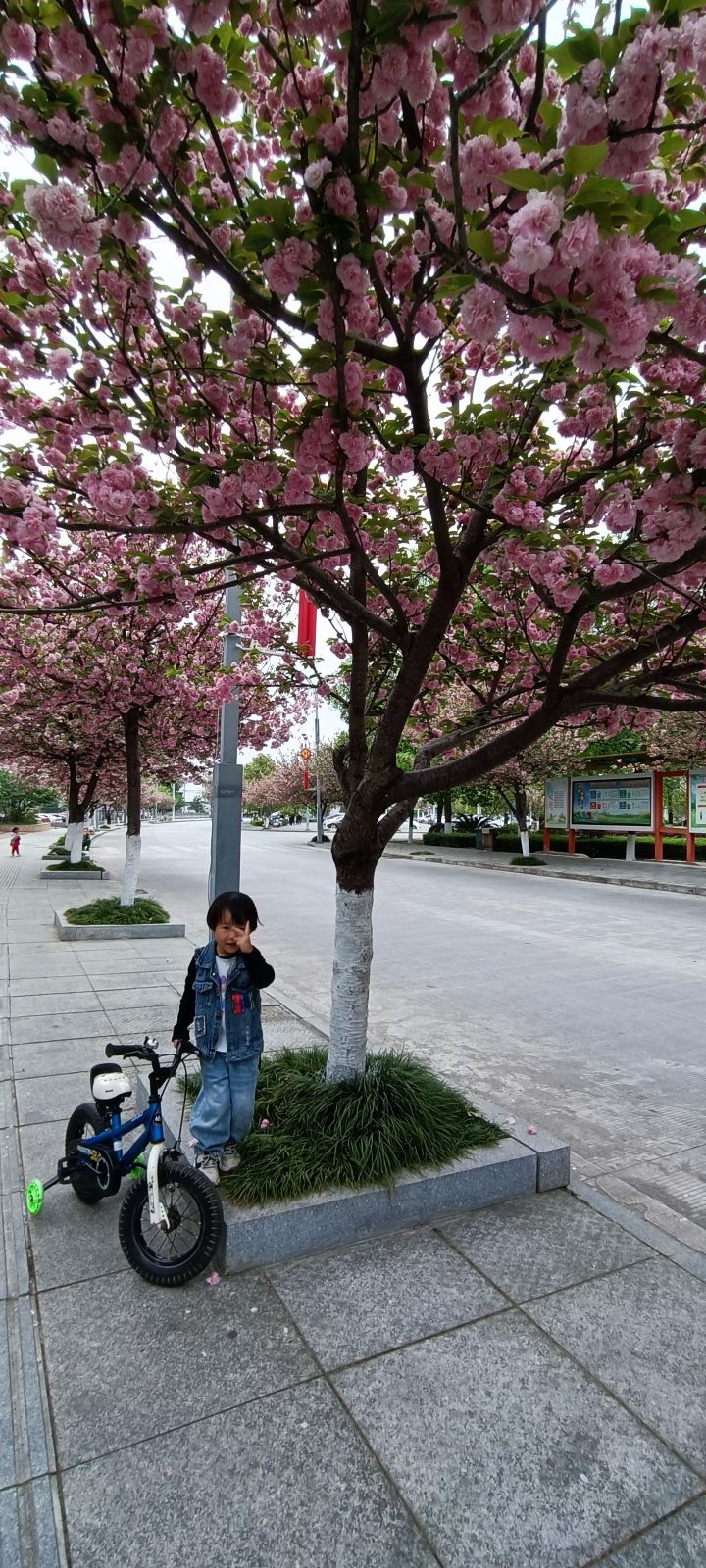 饮马湖公园旅行图片 1