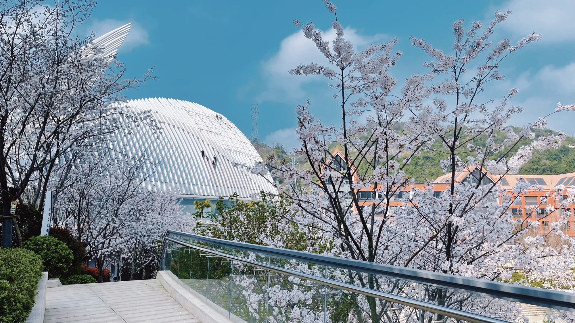 饮马湖公园旅行图片 2