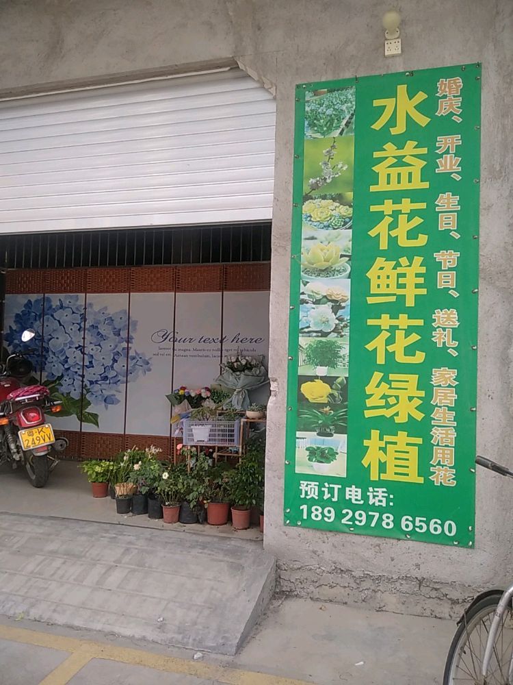 水益花鲜花绿植