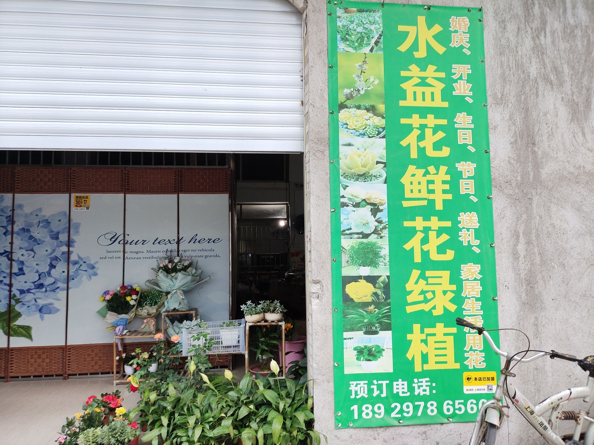 水益花鲜花绿植