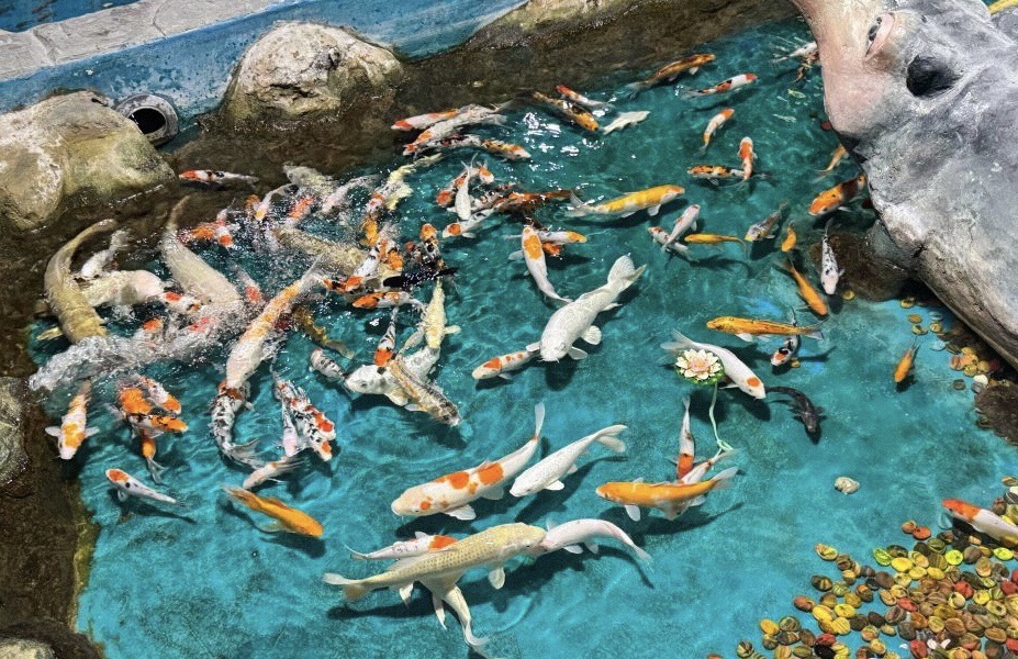 广汉海昌海洋探索馆旅行图片 2