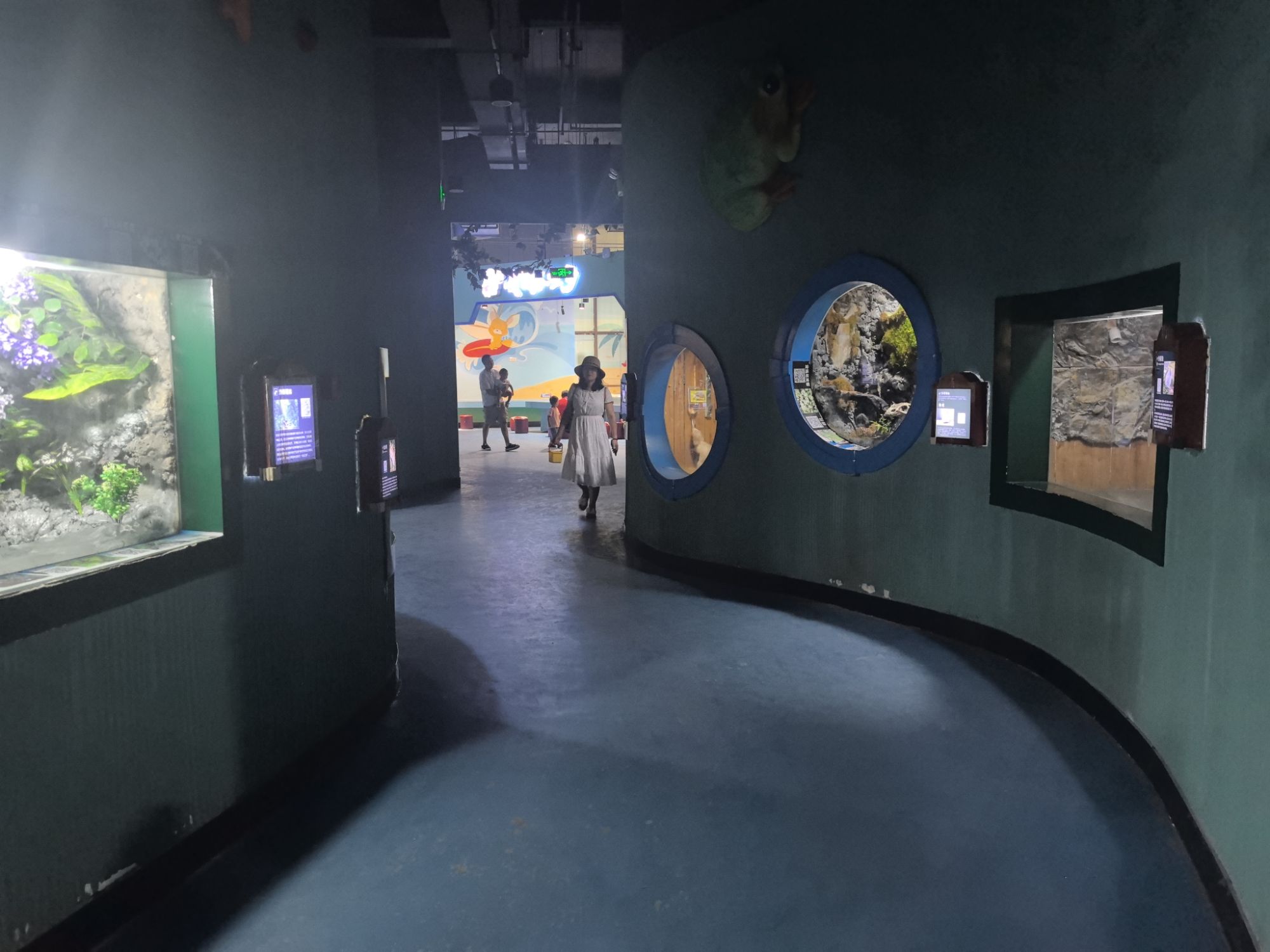 广汉海昌海洋探索馆旅行图片 2