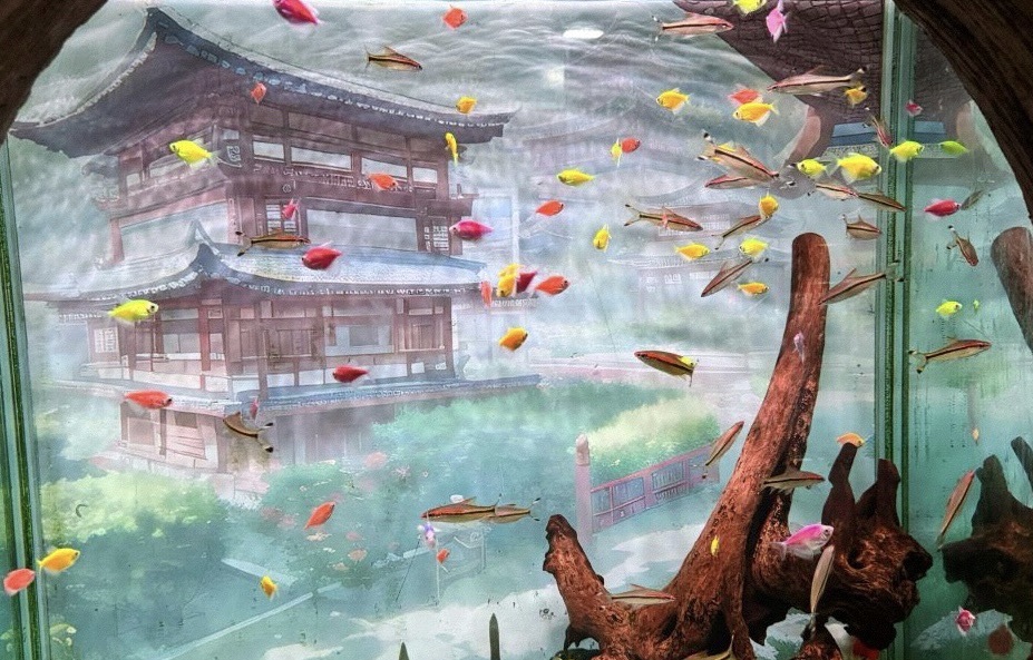 广汉海昌海洋探索馆旅行图片 3