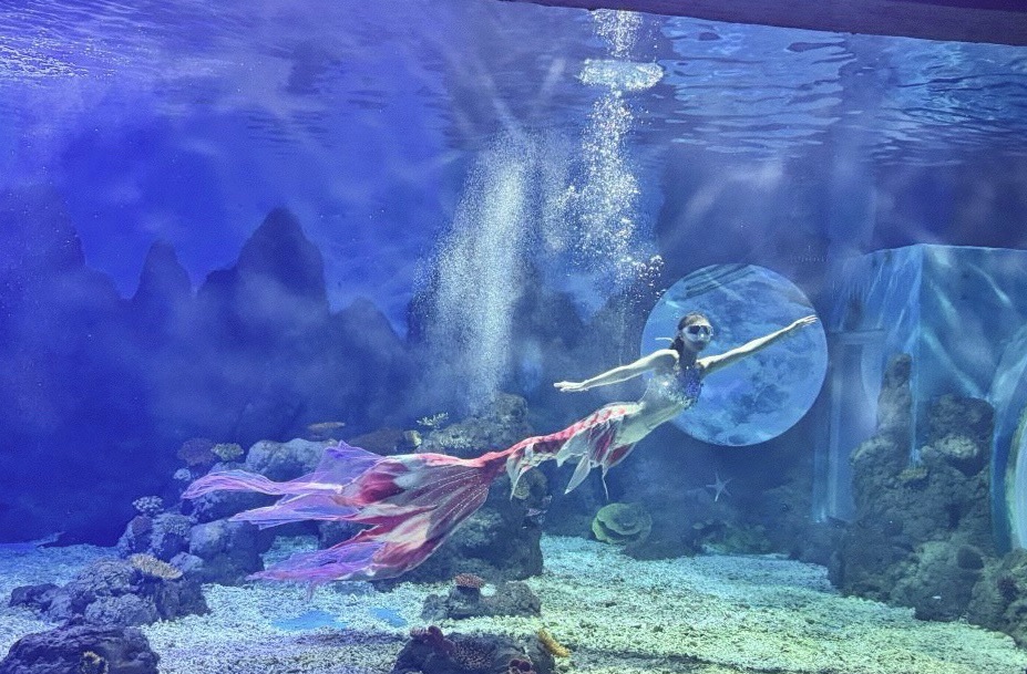 广汉海昌海洋探索馆旅行图片 1