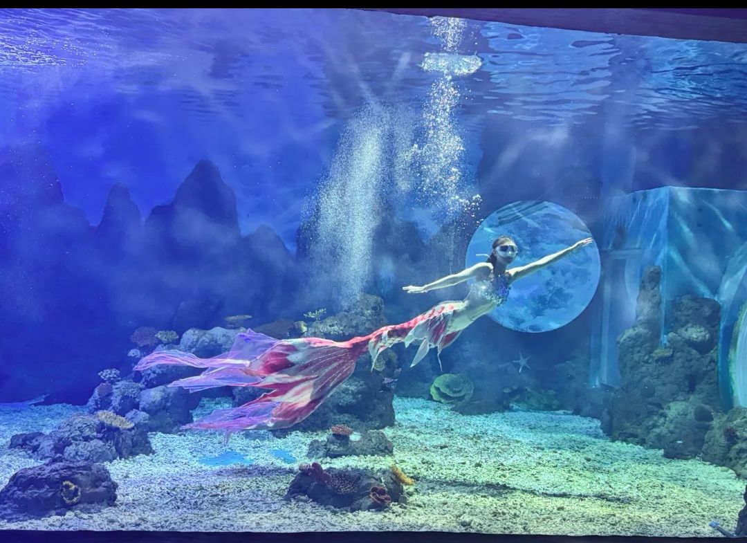 广汉海昌海洋探索馆旅行图片 2