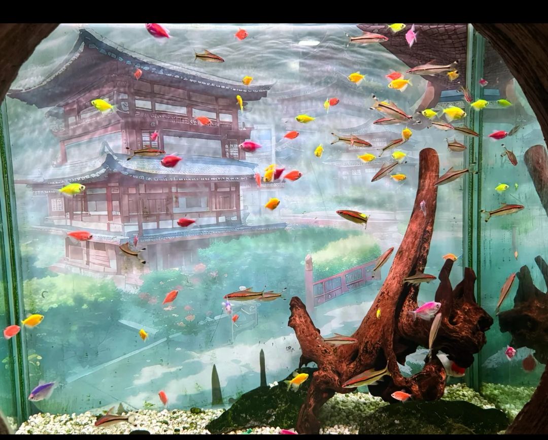 广汉海昌海洋探索馆旅行图片 3