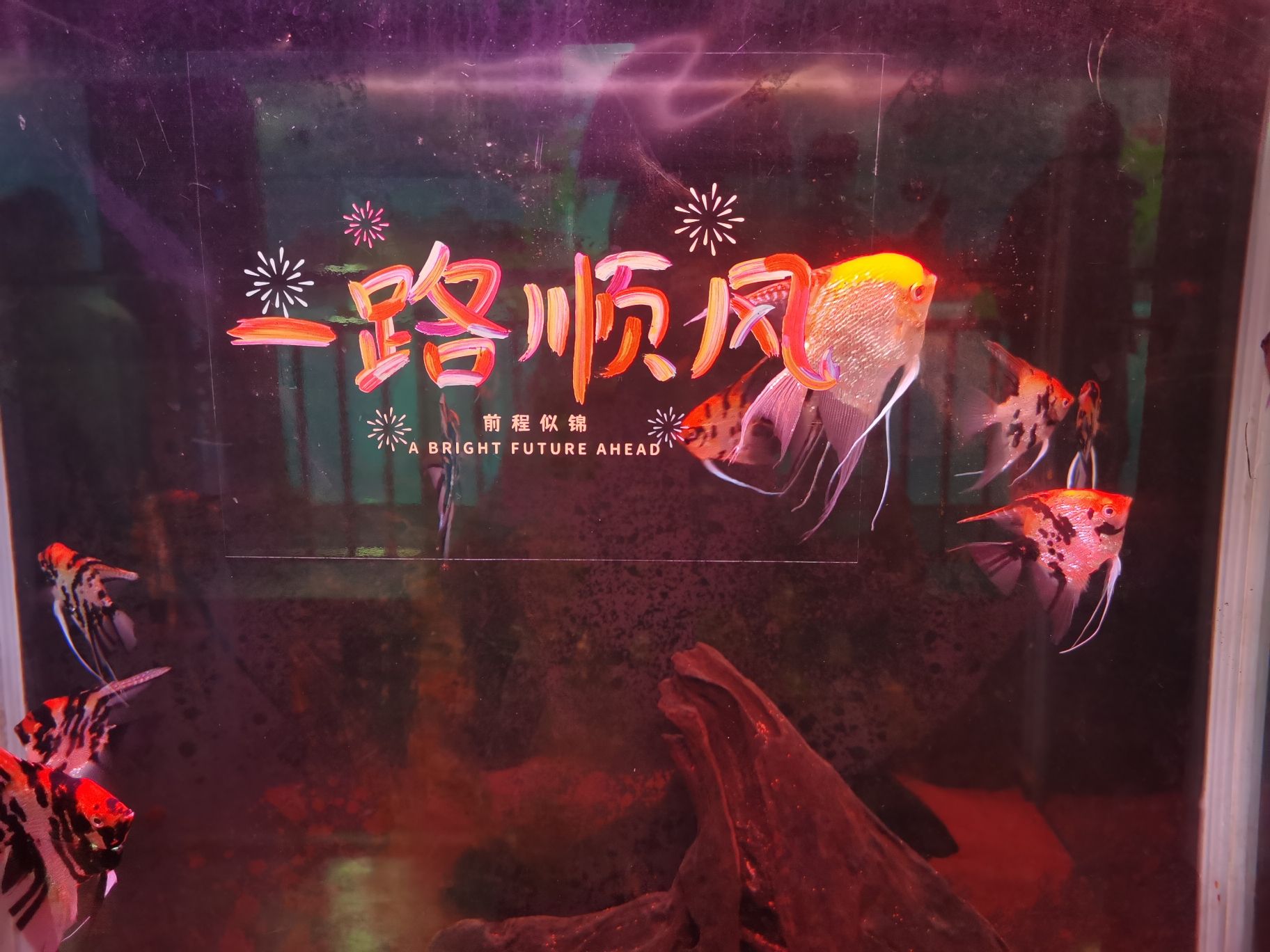 广汉海昌海洋探索馆旅行图片 2