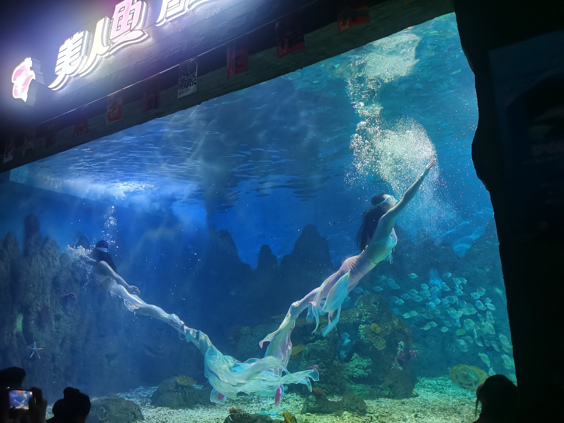 广汉海昌海洋探索馆旅行图片 1