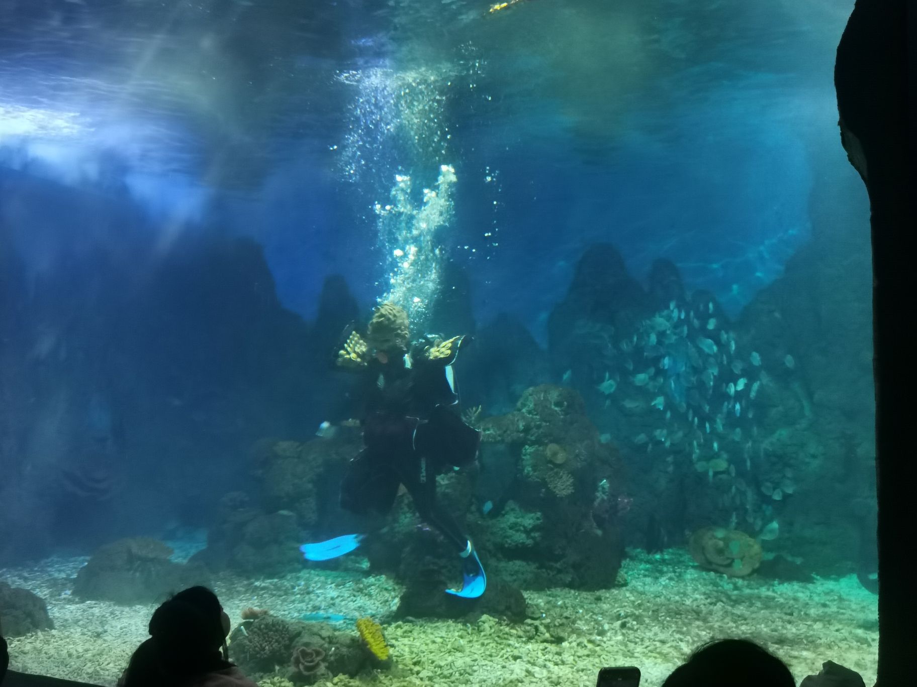 广汉海昌海洋探索馆旅行图片 3