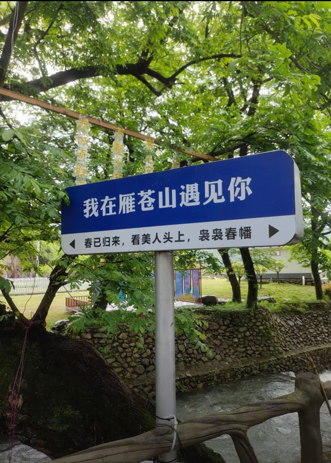 雁苍山瀑布旅行图片 2