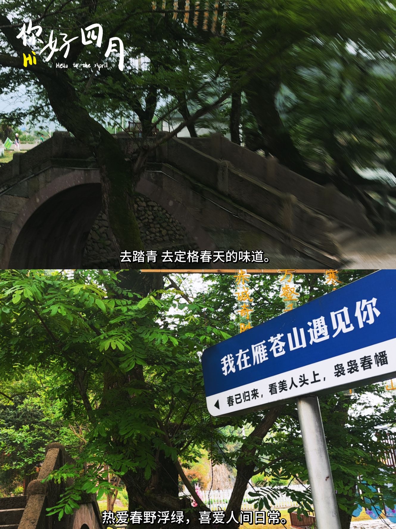 雁苍山瀑布旅行图片 3