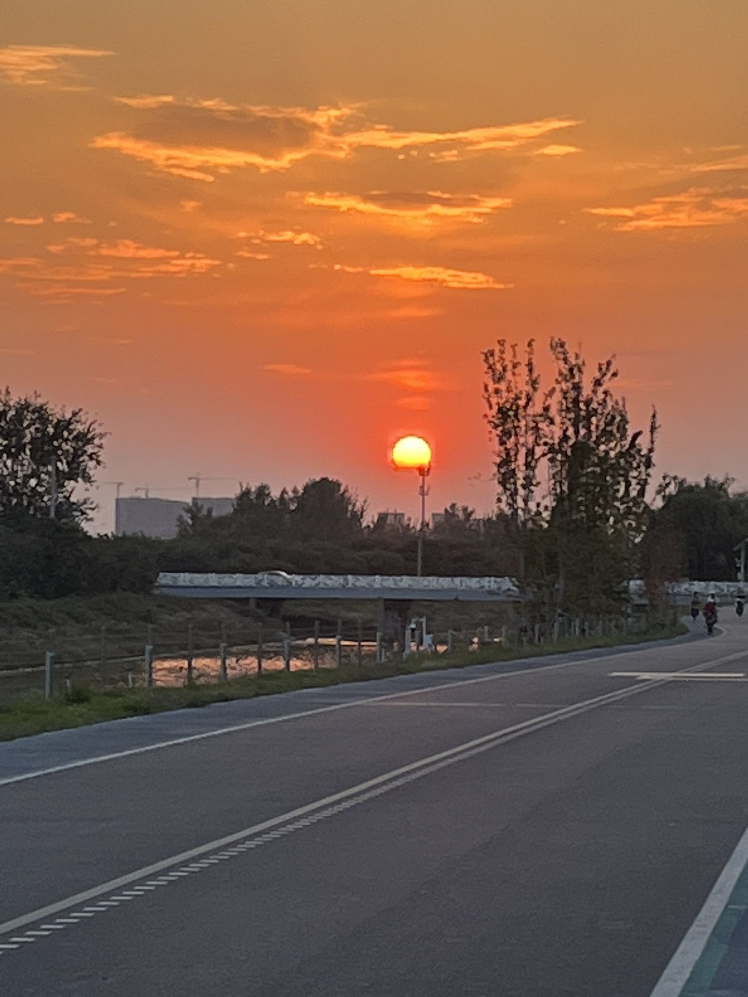 南堤公园旅行图片 1