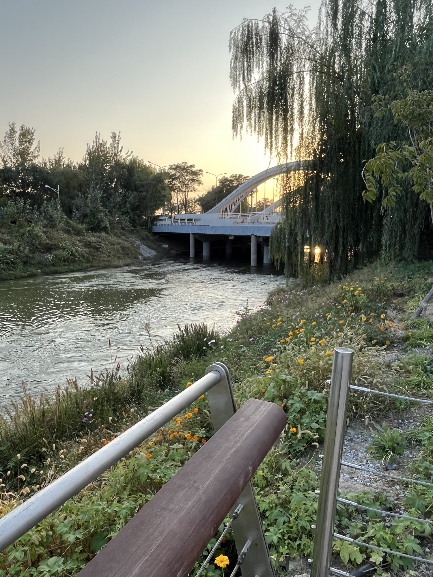 南堤公园旅行图片 2