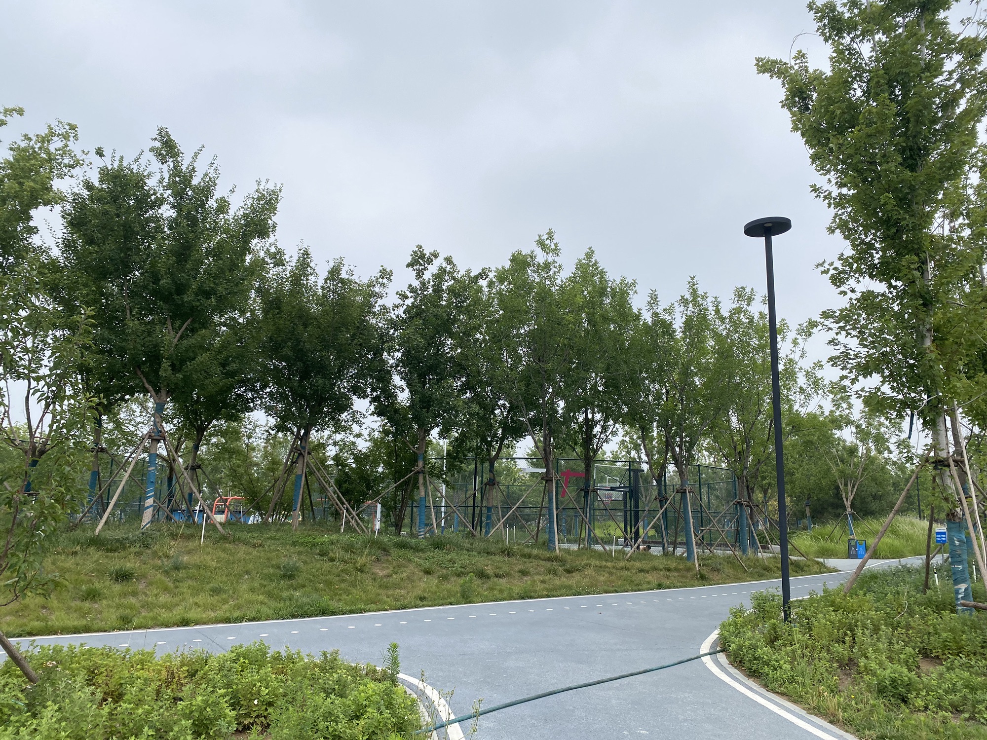 南堤公园旅行图片 3