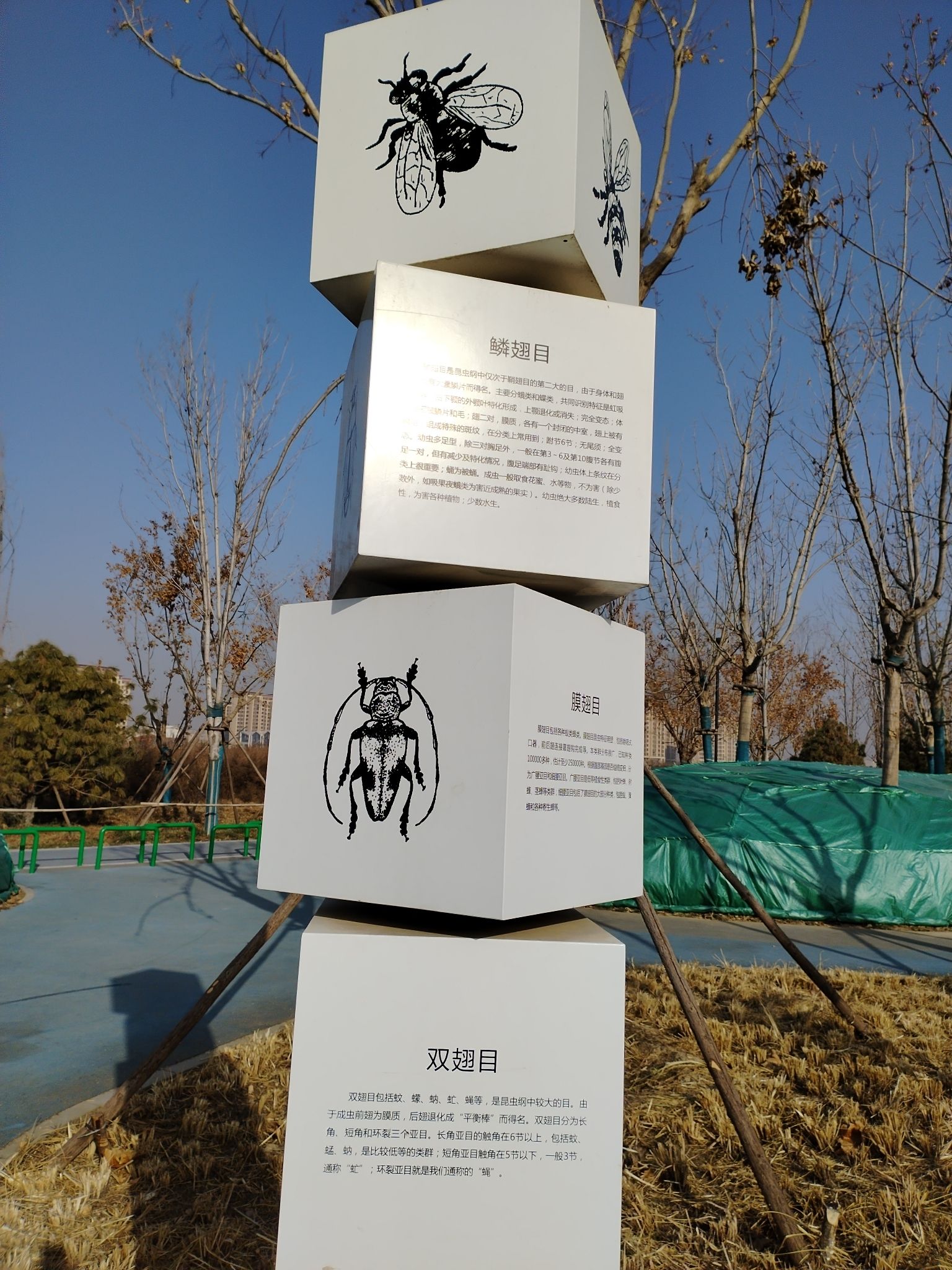 南堤公园旅行图片 1