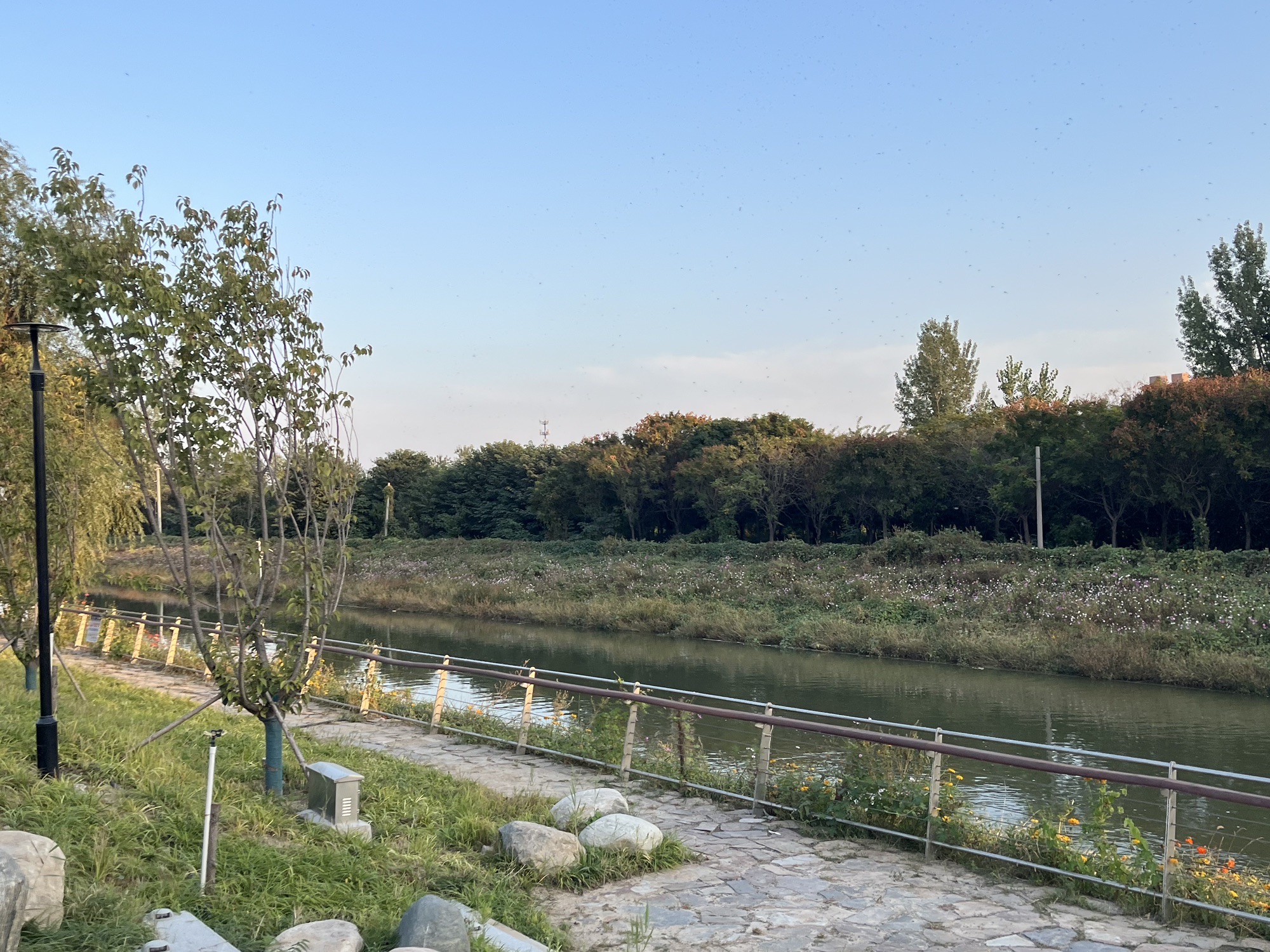 南堤公园旅行图片 3