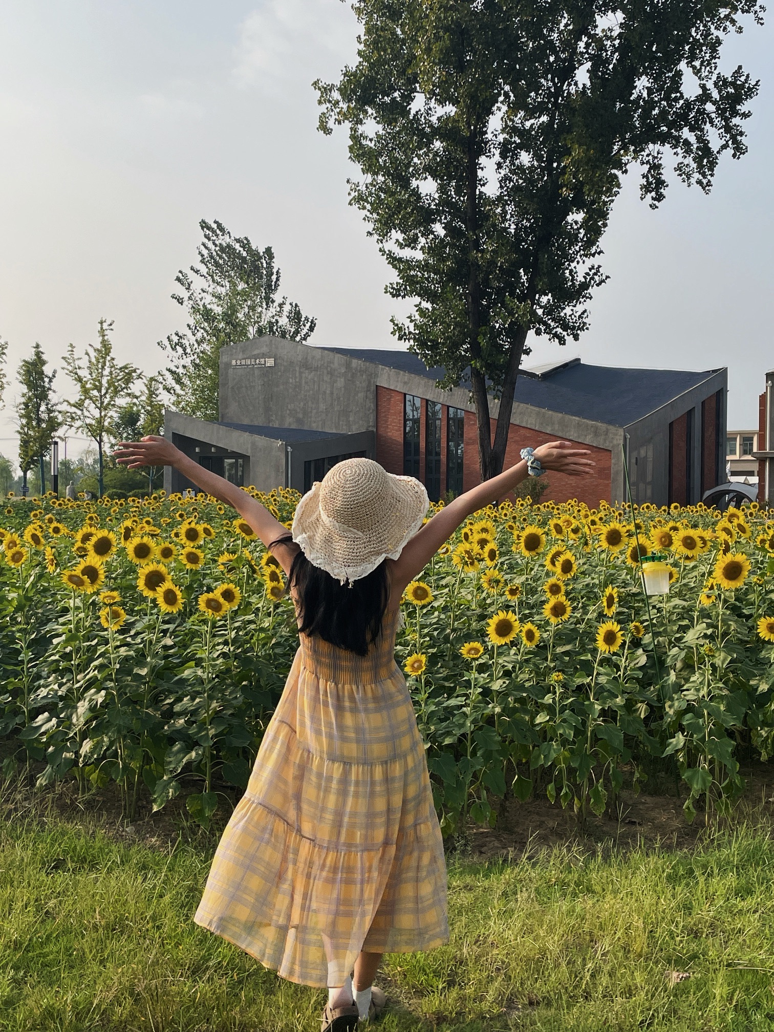 美上心田·艺术家村旅行图片 2