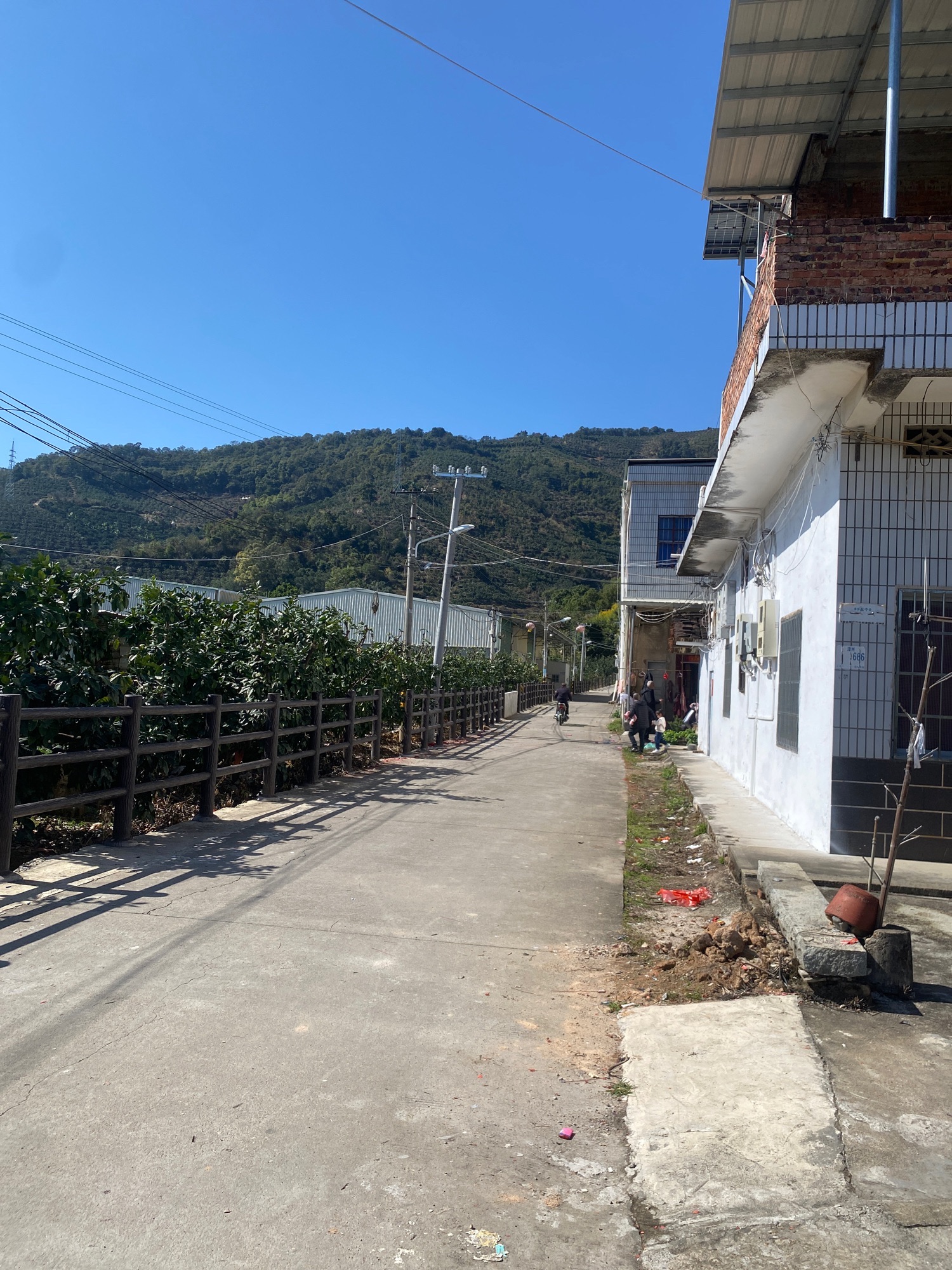 山边森林公园旅行图片 2