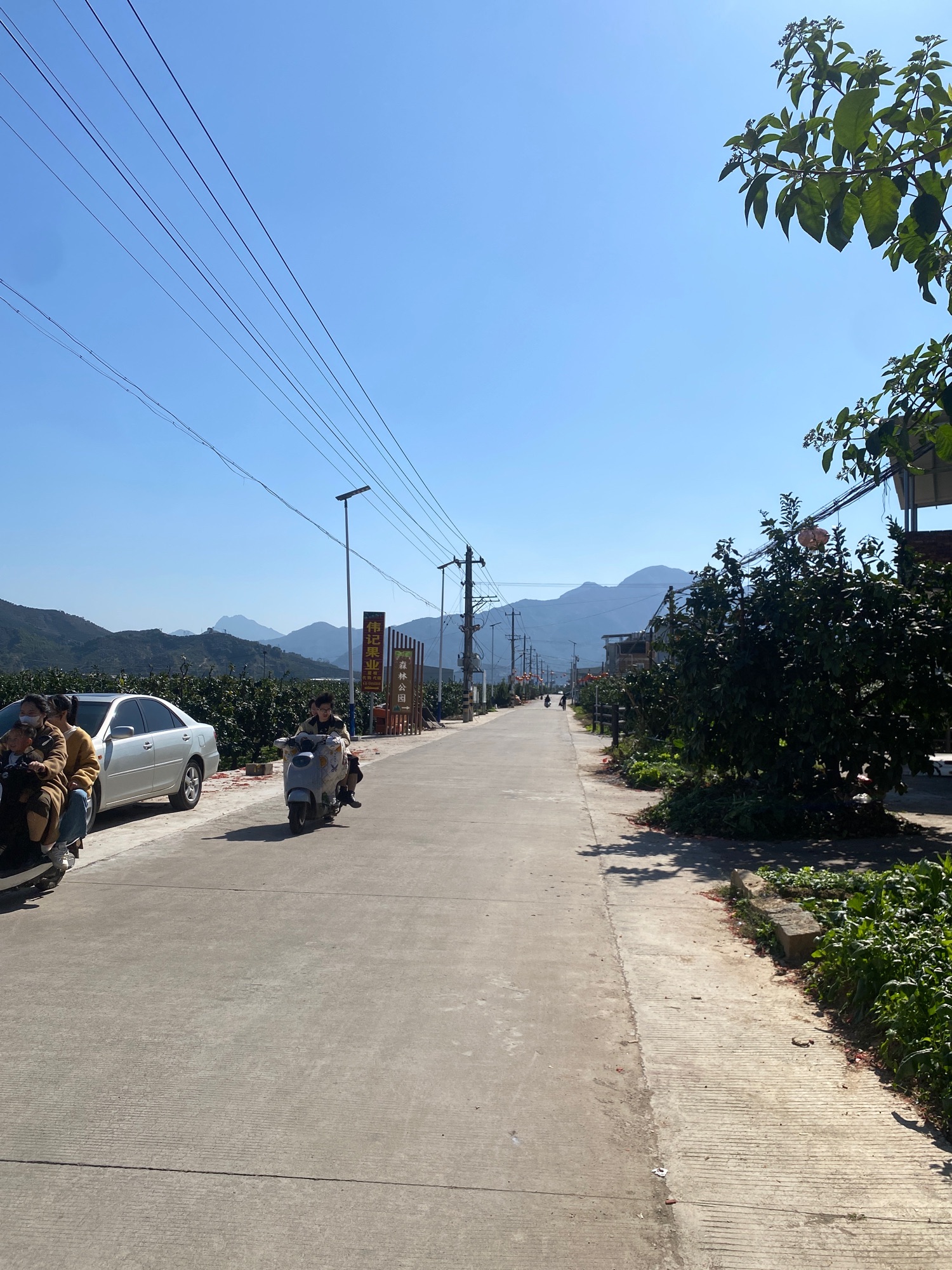 山边森林公园旅行图片 1