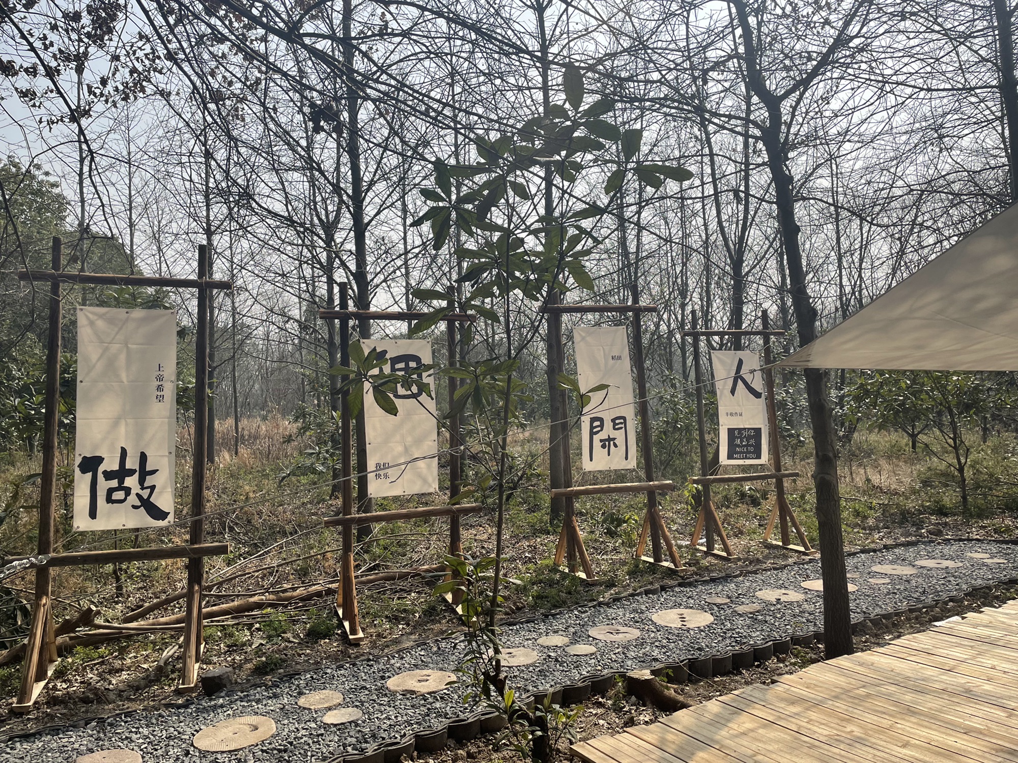 大象露营ElephantCamping