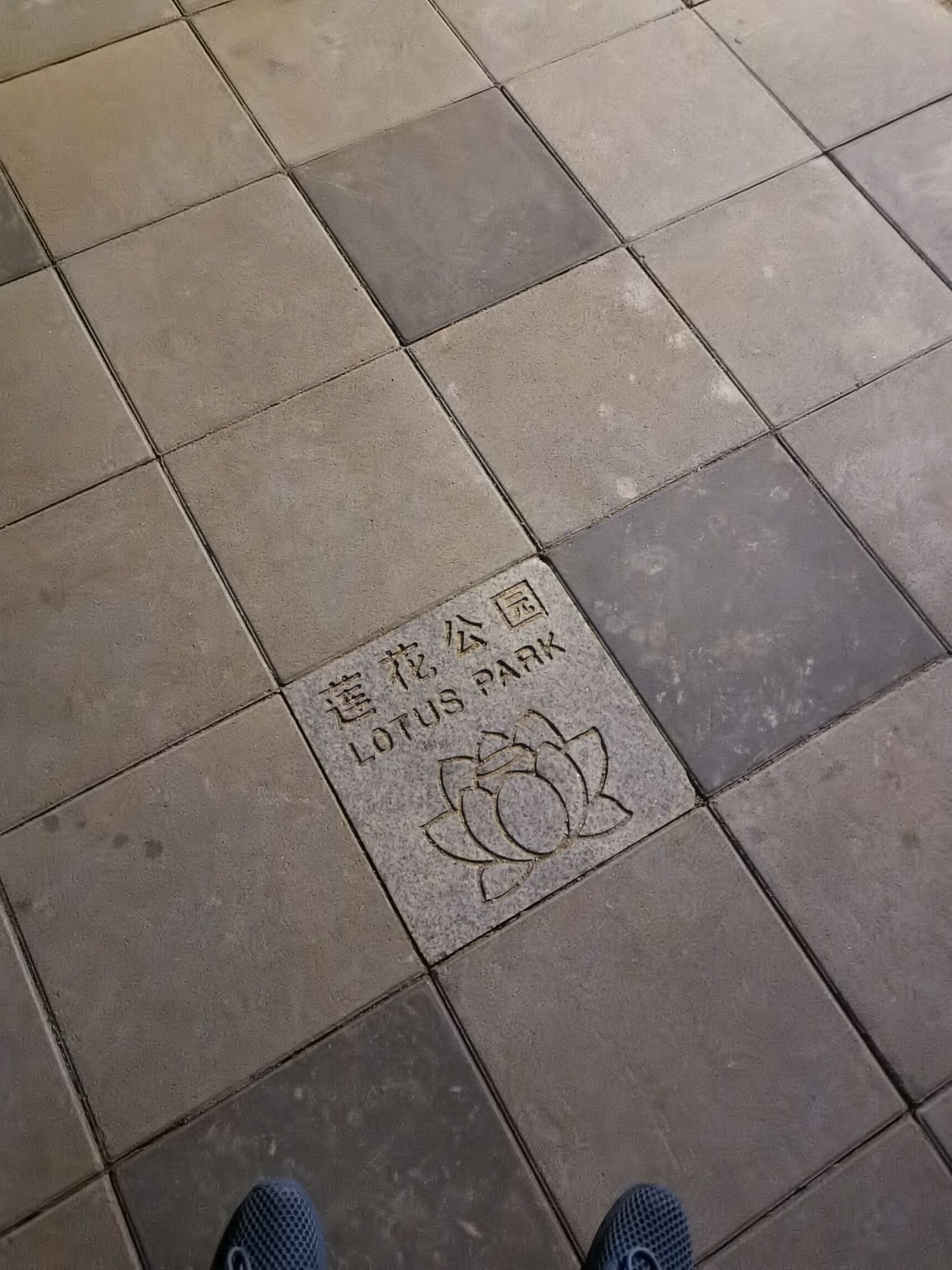 梅林公园旅行图片 1
