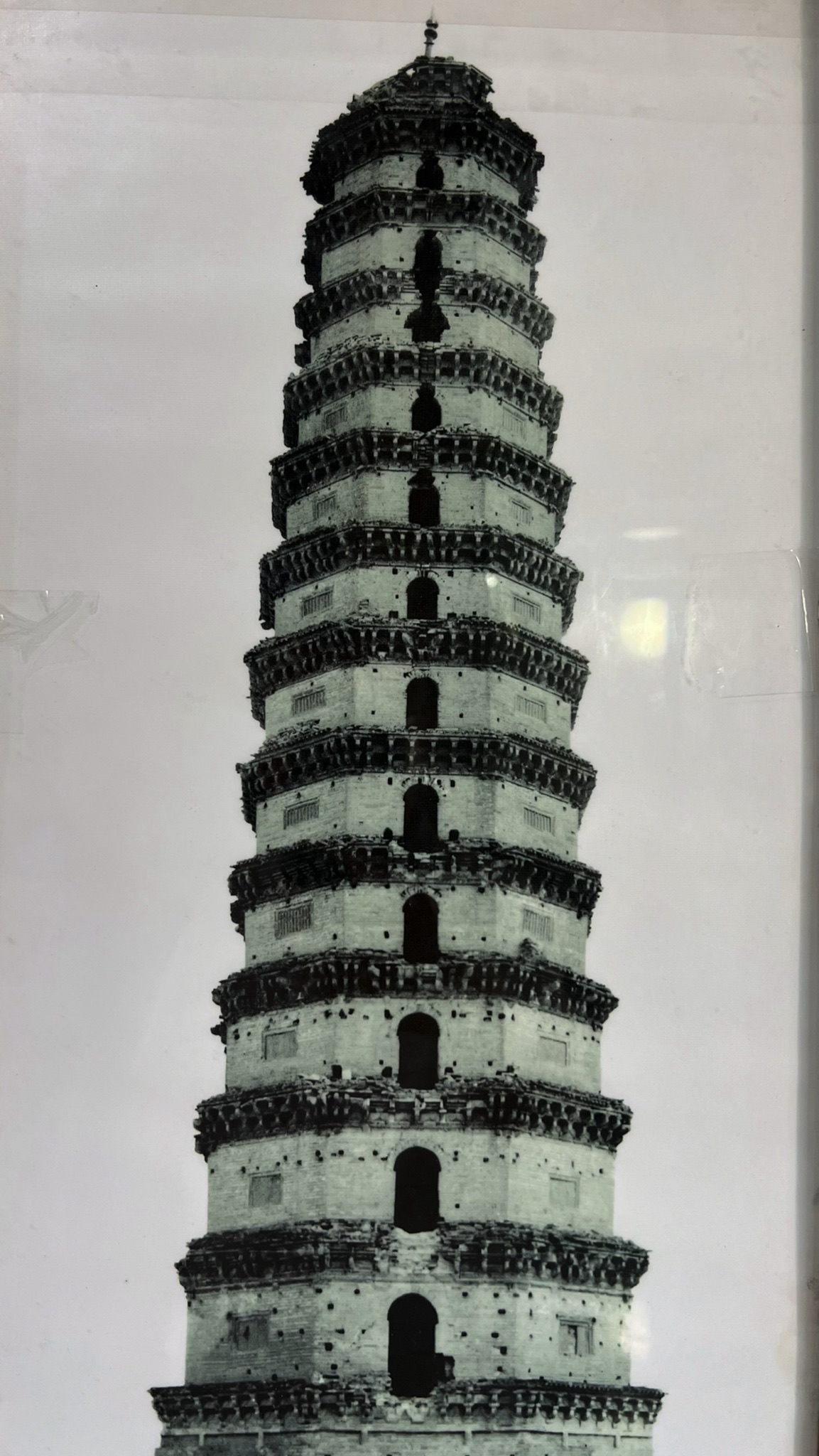 燕塔旅行图片 1