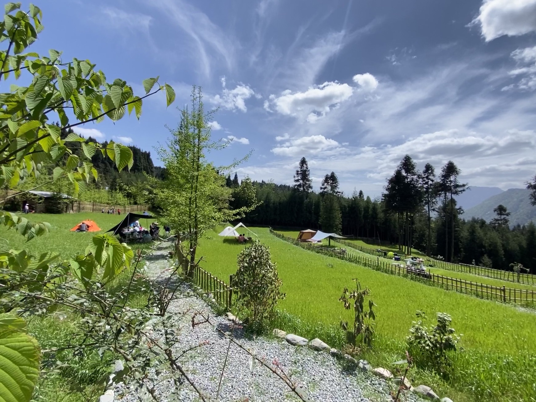 场地封面-林海营地