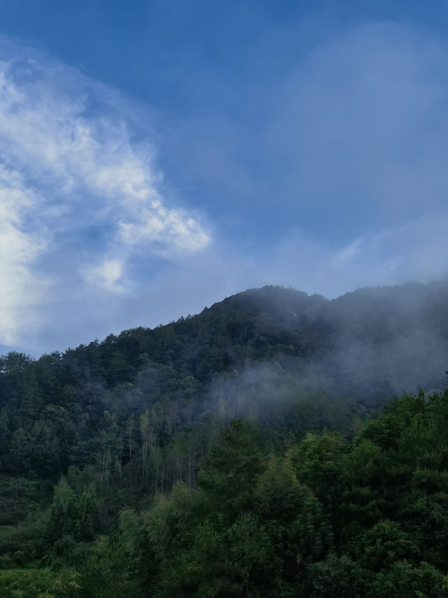 大水口无忧花谷旅行图片 3