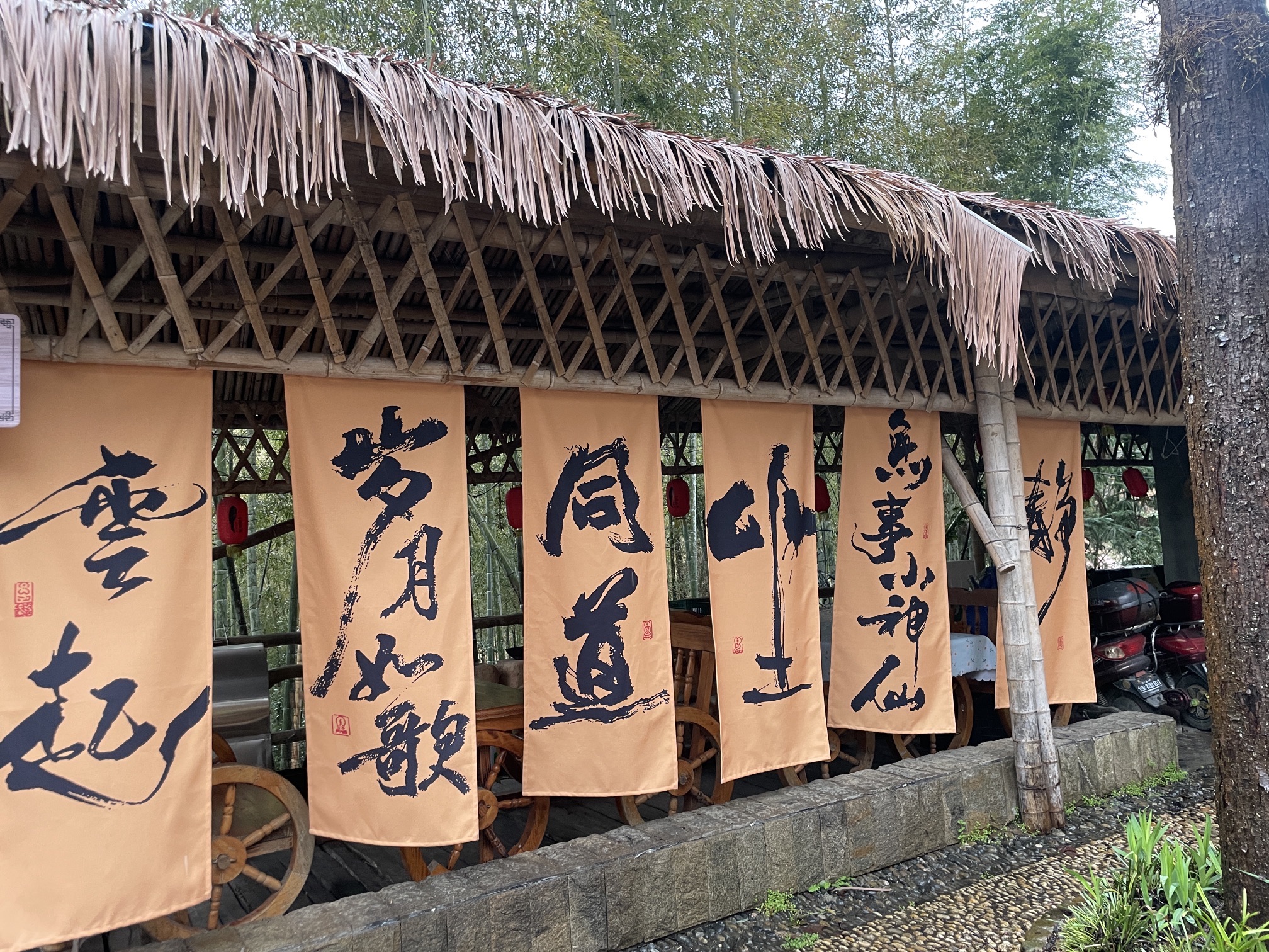 大水口无忧花谷旅行图片 1