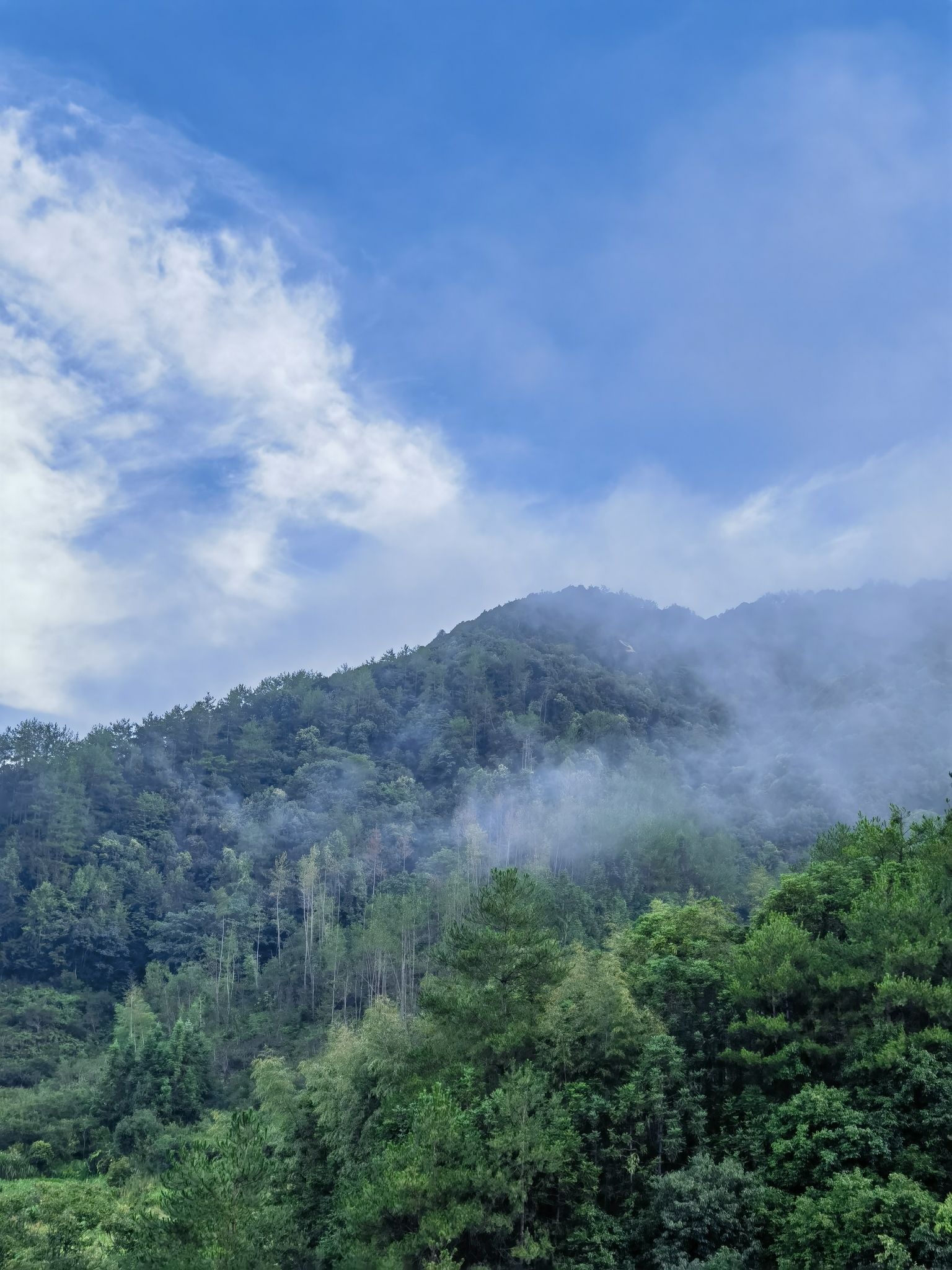 大水口无忧花谷旅行图片 2