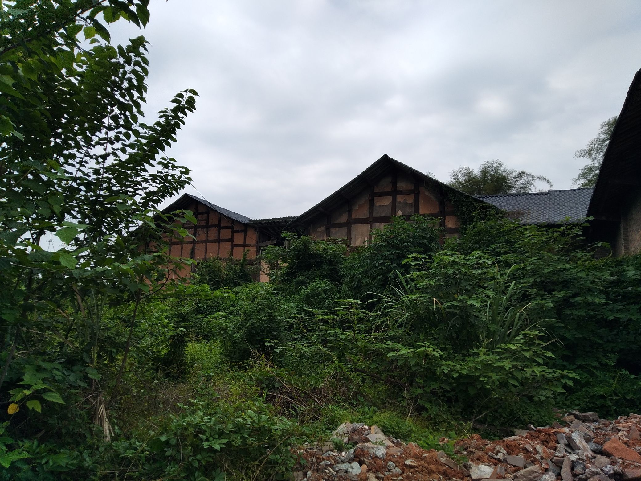 蓝家大院旅行图片 2