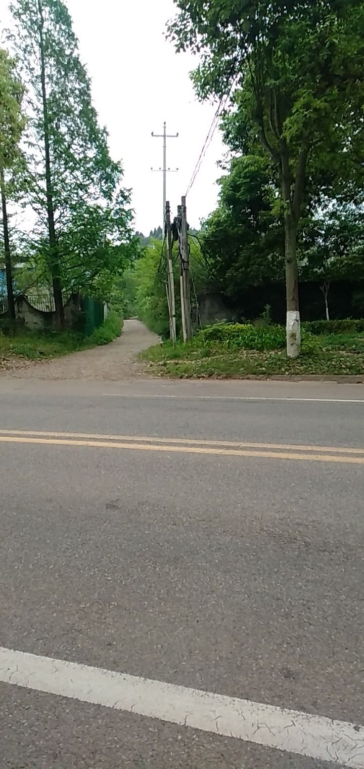 蓝家大院旅行图片 1