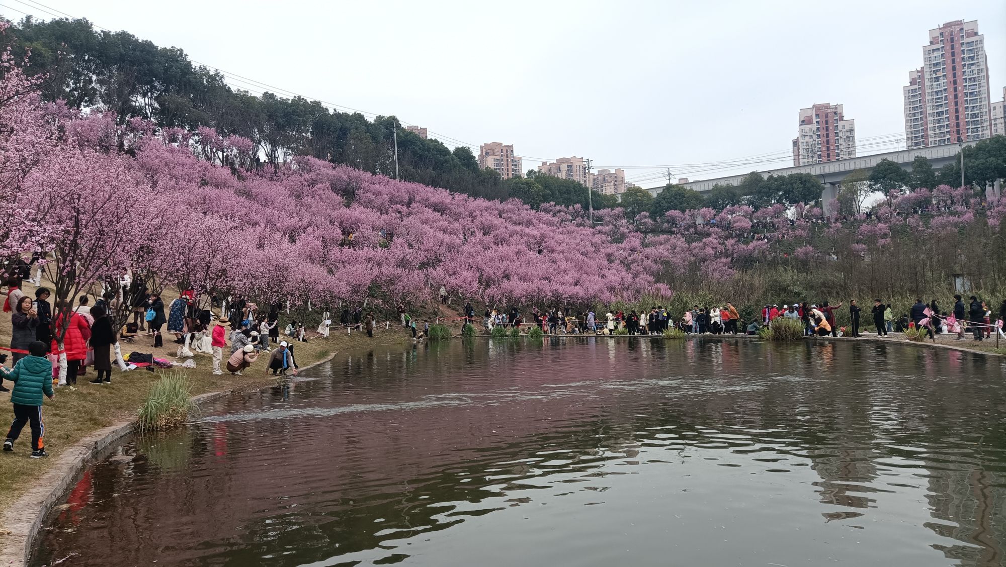 百塘园旅行图片 3