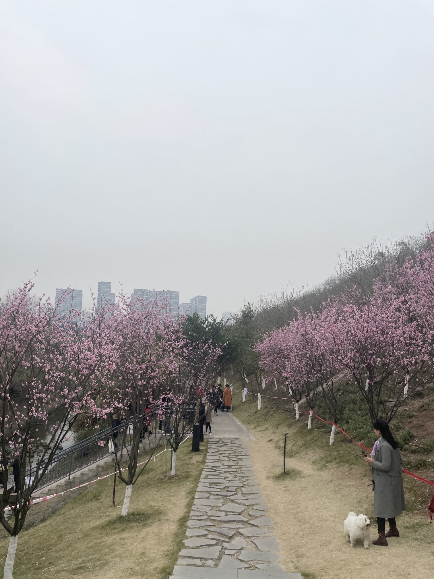 百塘园旅行图片 3