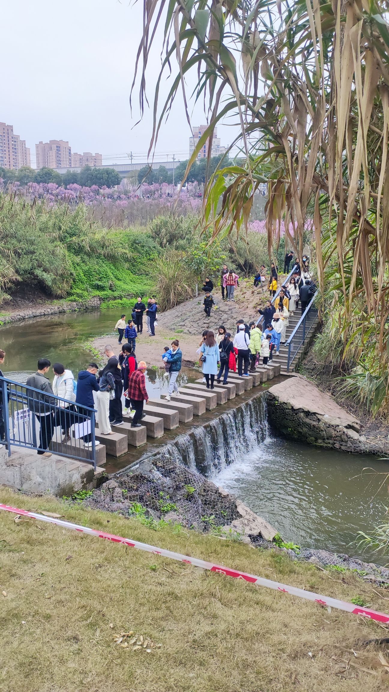 百塘园旅行图片 3