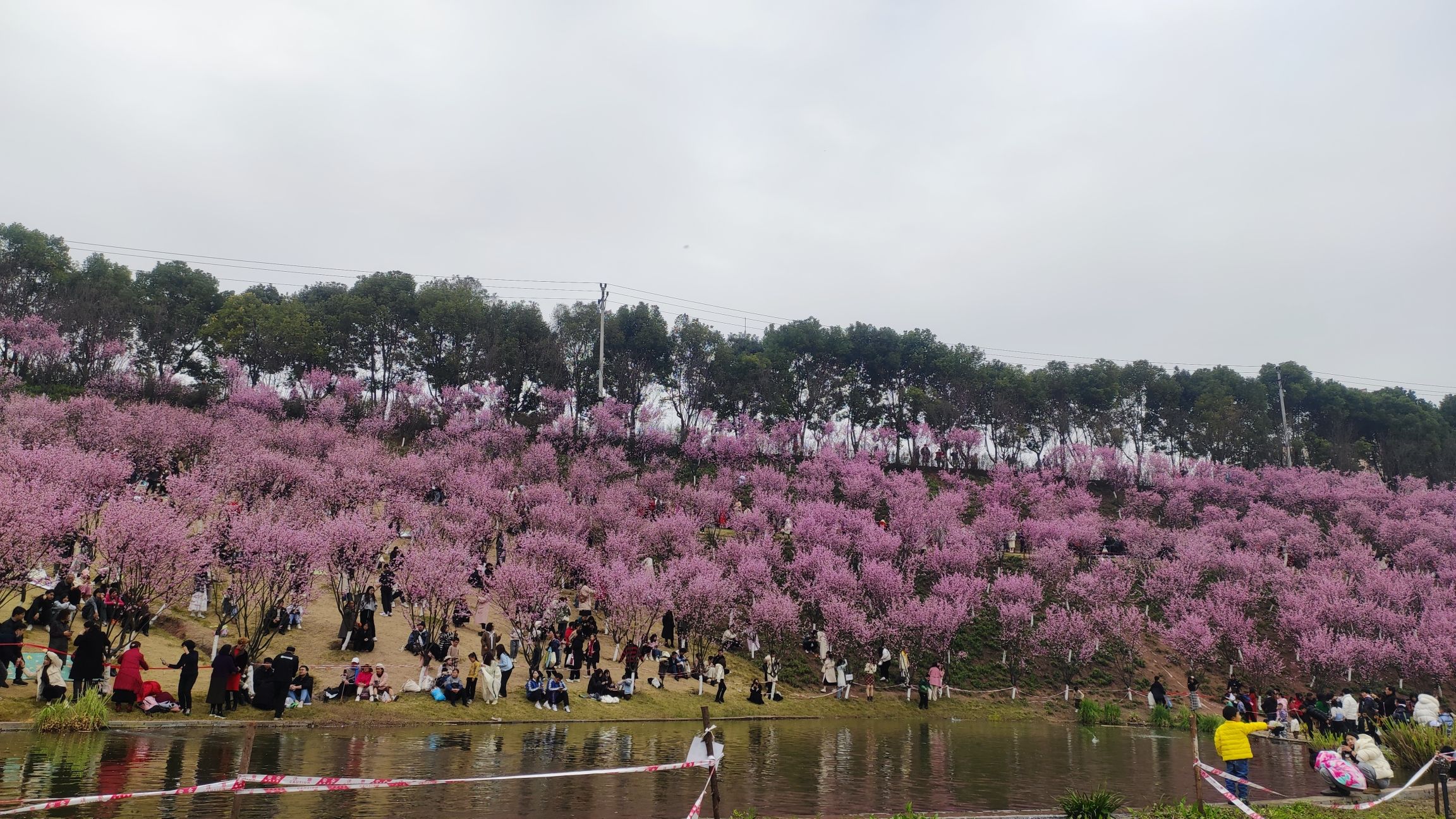 百塘园旅行图片 2