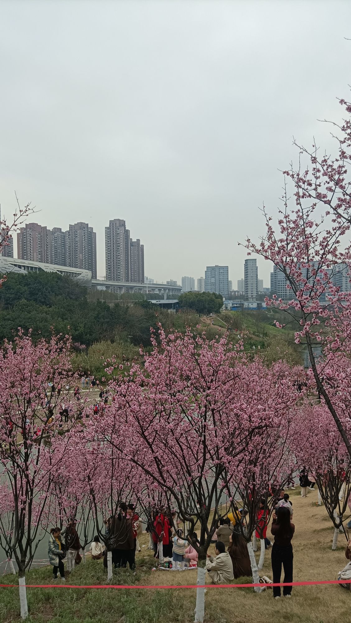 百塘园旅行图片 2