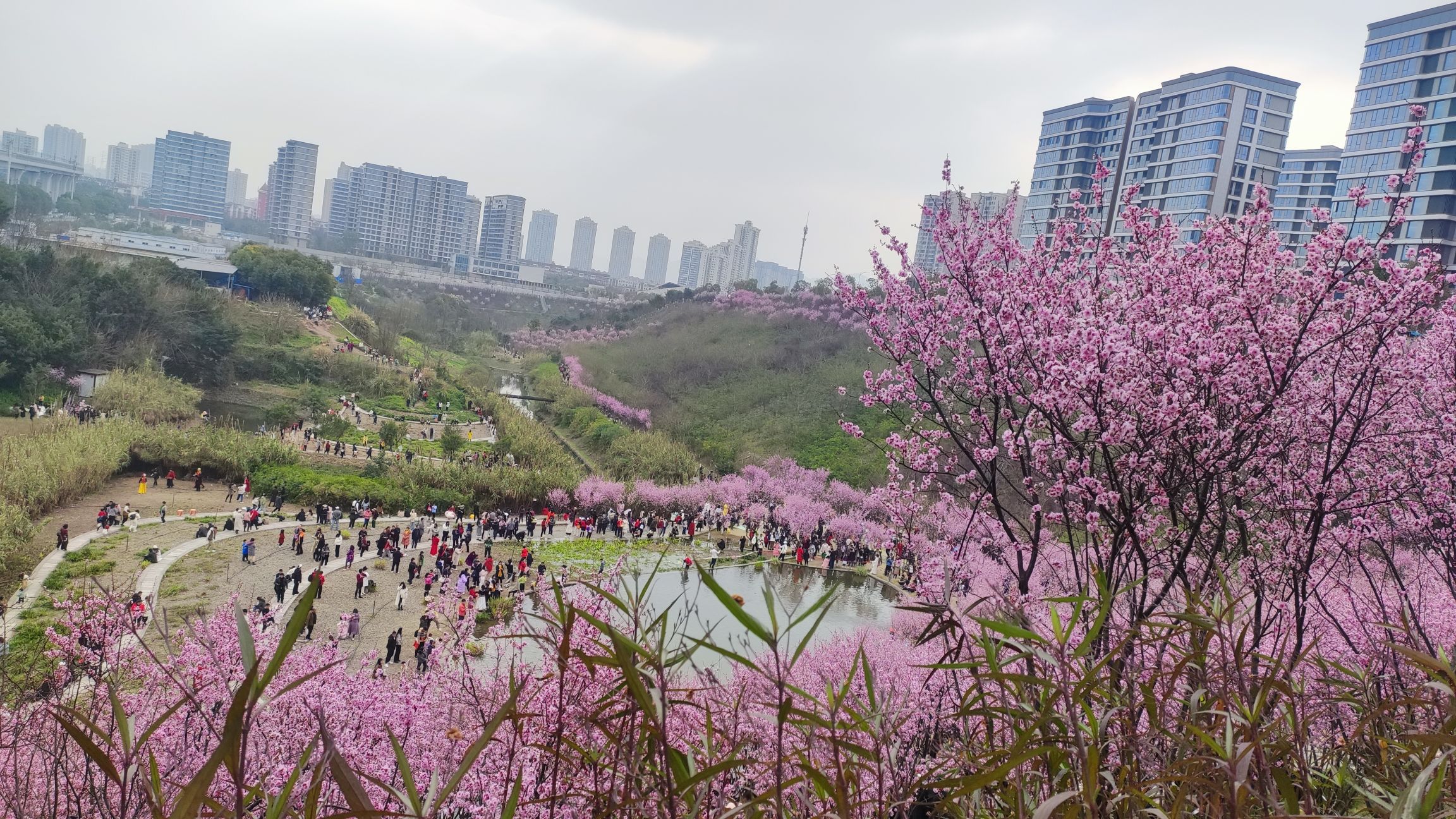 百塘园旅行图片 1